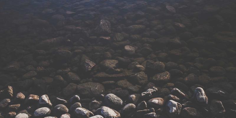 FACCCE图书14：在原木风读书社区，重拾绿色阅读的本真温度