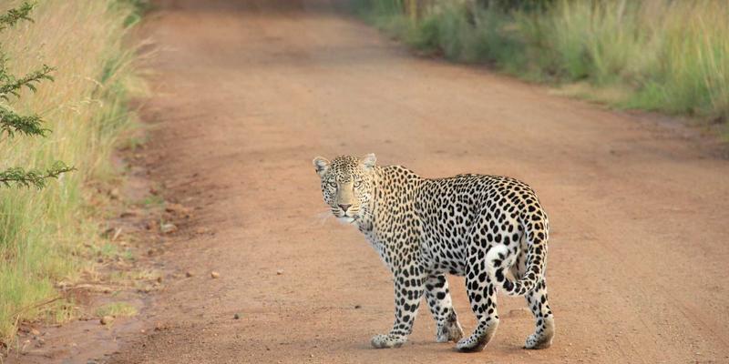 FACCCE图书26：以绿色阅读构建未来，在读书社区中重塑图书销售新生态