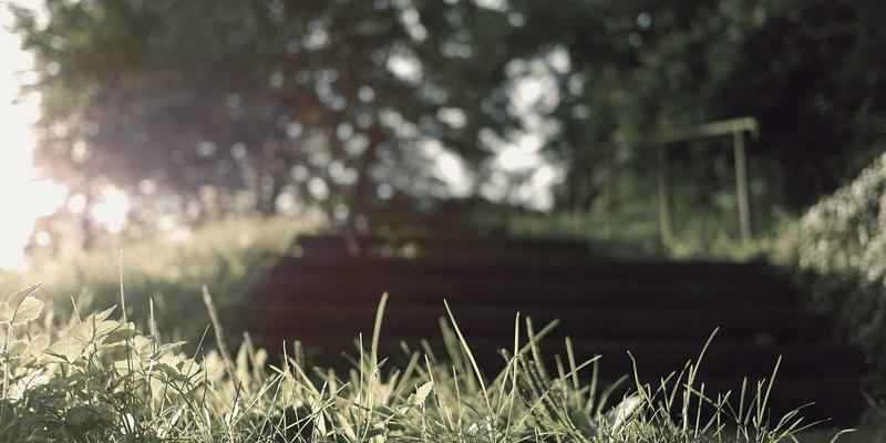 FACCCE图书33：引领绿色阅读新风尚，打造沉浸式在线书店与阅读分享社区