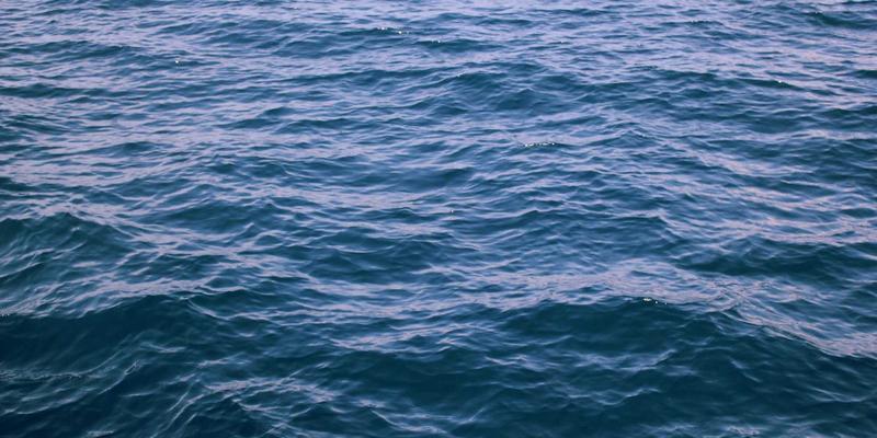 FACCCE图书42：在数字时代重拾绿色阅读的温暖与力量