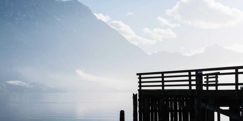 FACCCE图书44：原木风与绿色阅读，一场自然与心灵的深度对话