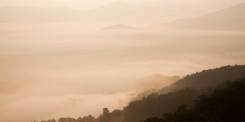 FACCCE图书4：引领绿色阅读革命，打造未来在线书店新生态