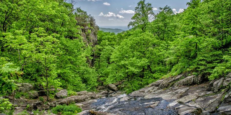 FACCCE图书65：重新定义数字时代的读书社区与图书销售新模式