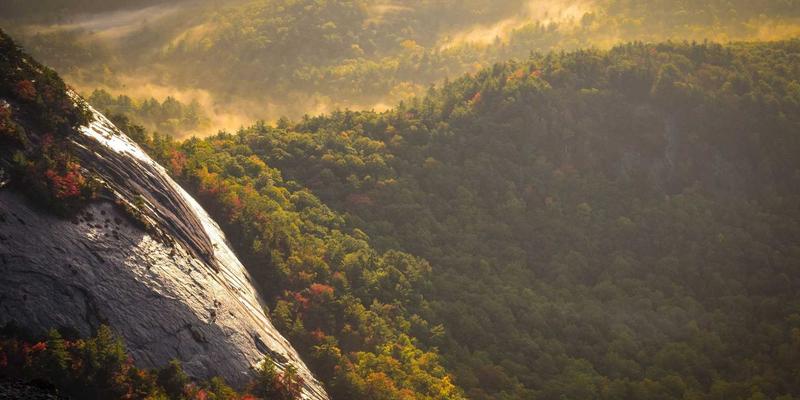 FACCCE图书82：在绿色阅读中构建理想读书社区