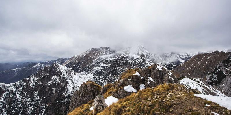 FACCCE图书APP全解析：打造绿色阅读与深度读书社区新体验