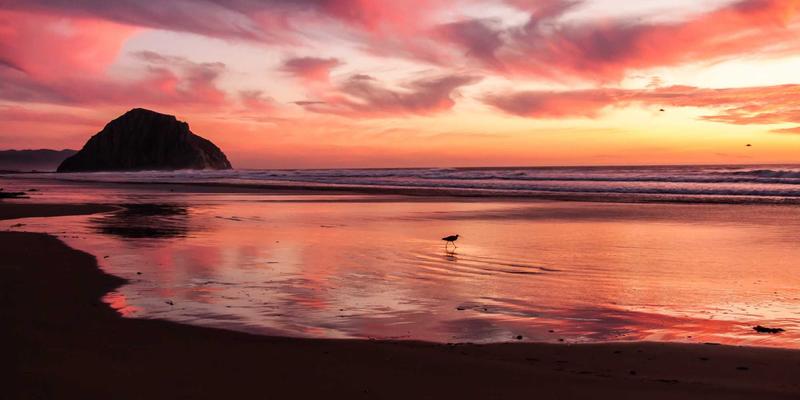 FACCCE图书共读营运营策略：打造21天深度阅读习惯与绿色阅读社群