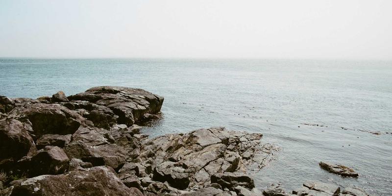 FACCCE图书如何以绿色阅读与原木风理念重塑儿童数字阅读教育