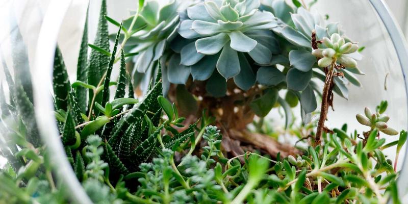 FACCCE图书平台使用指南：在原木风书香中开启阅读分享与图书销售新体验