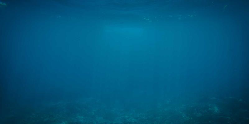 FACCCE图书：探索原木风在线书店与读书社区的完美融合