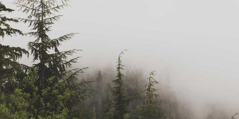 FACCCE图书攻略：在原木风阅读社区，开启沉浸式阅读分享之旅