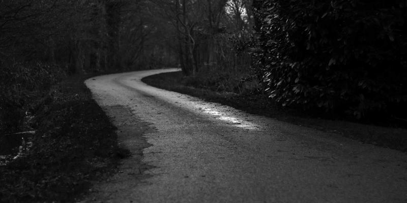 FACCCE图书教程：在绿色阅读与原木风中，重塑你的深度阅读体验