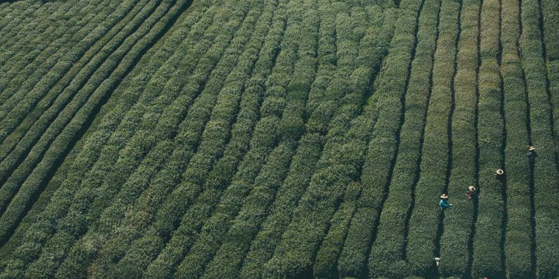 FACCCE图书笔记与批注功能：解锁绿色阅读时代的原木风学术写作新范式