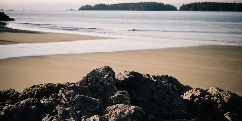 FACCCE图书进阶：在阅读分享与读书社区中实现个人成长的蜕变