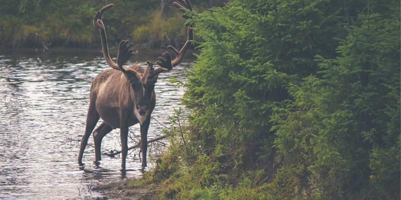 原木风在线书店FACCCE深度对比：如何选择最适合你的图书销售平台？