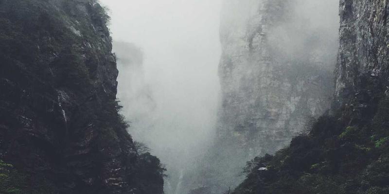 原木风阅读分享新体验：探析FACCCE图书的版权保护与协作生态