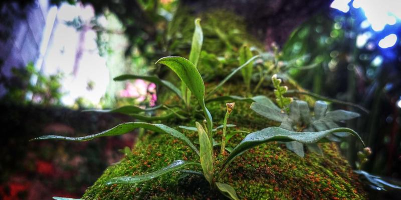 原木风阅读分享空间 vs 传统图书馆：图书销售新时代的深度对比