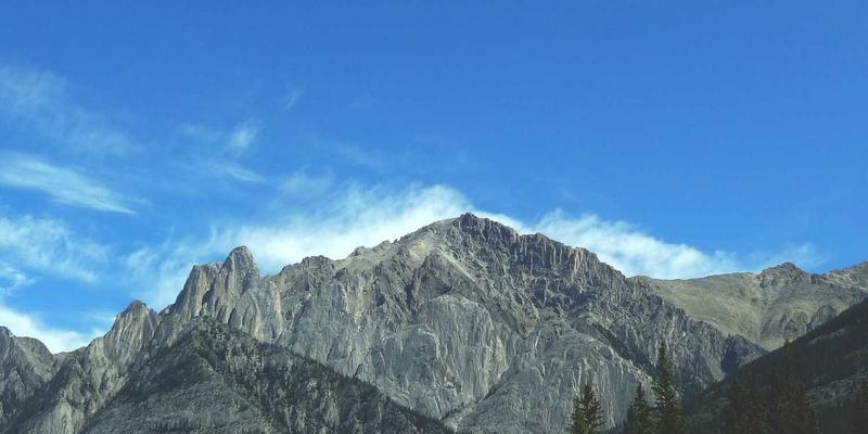 原木风阅读新生态：FACCCE图书如何以作者扶持计划滋养原创内容沃土