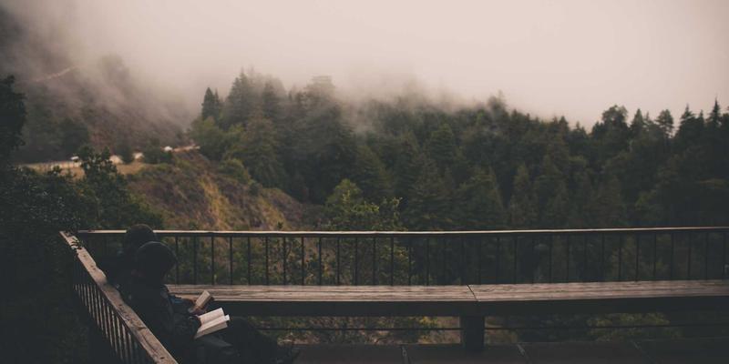 在线书店新体验：FACCCE图书如何以原木风美学助力绿色阅读与高效学术研究