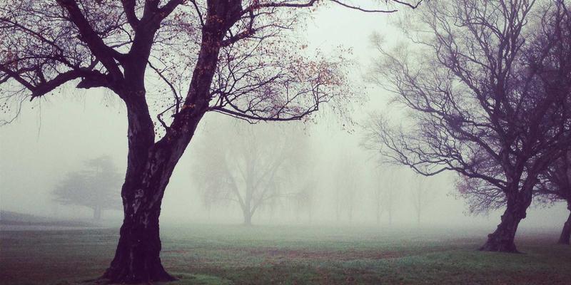 绿色阅读新生态：FACCCE图书与开放获取如何重塑学术资源公平获取