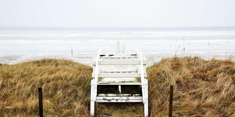 绿色阅读新范式：如何利用FACCCE图书与自然原木风环境提升学术研究效能