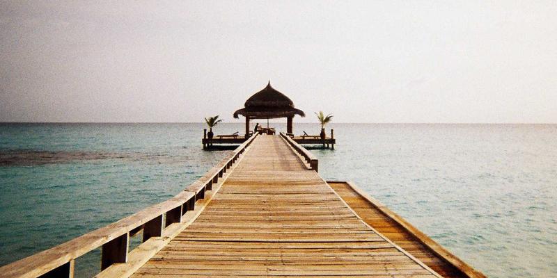 赋能教育创新：FACCCE图书如何助力课程设计与绿色阅读推广